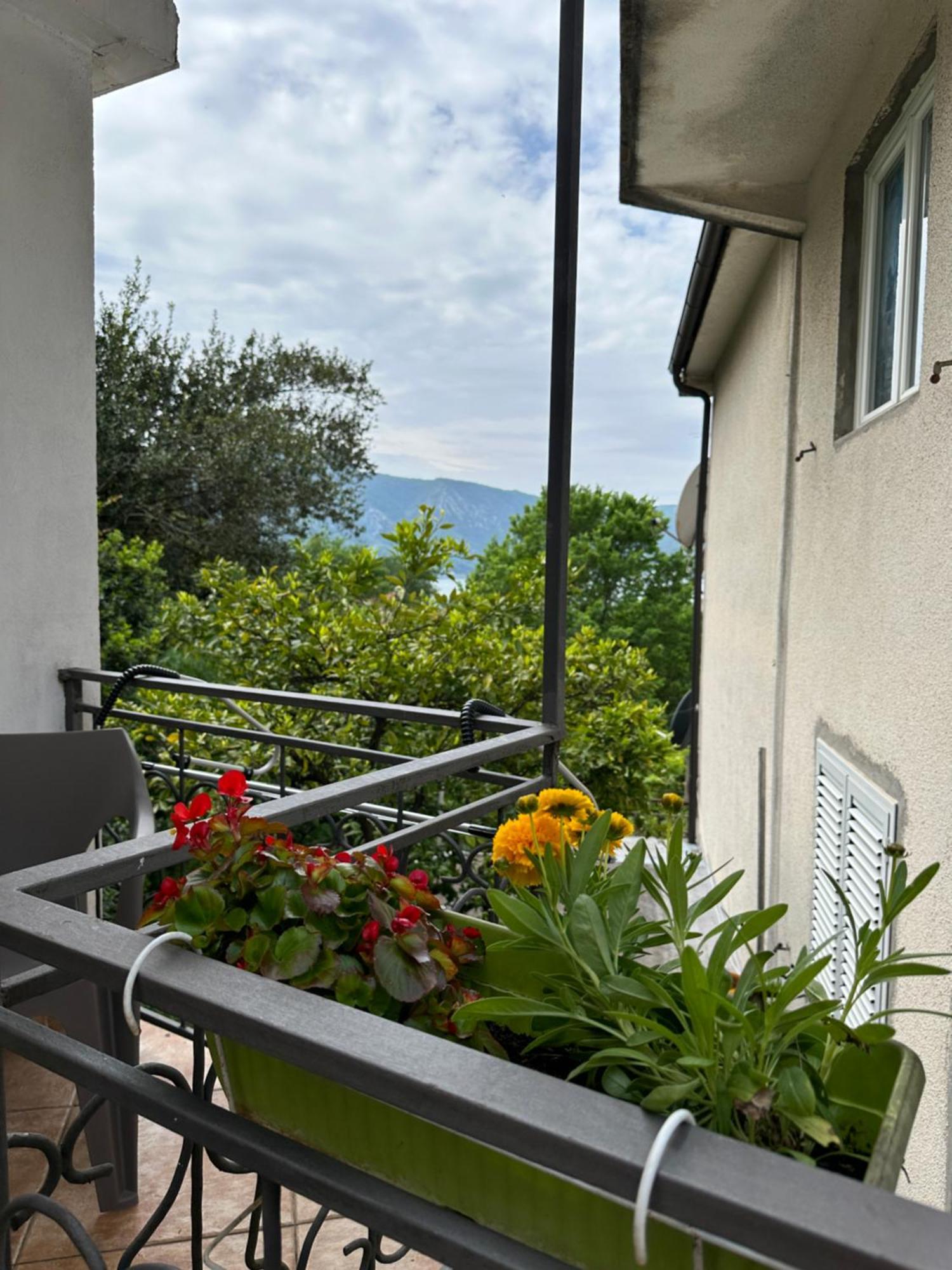 Apartman Nina Risan Bagian luar foto